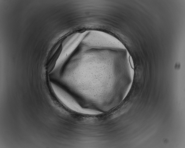 X0000101100446200807171916