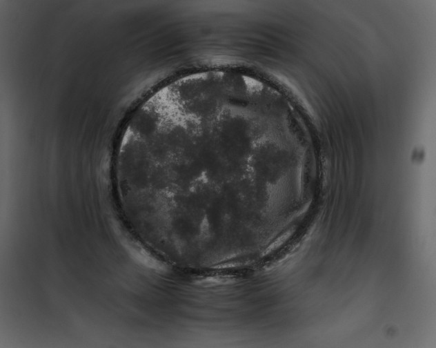 X0000101100447200807171916