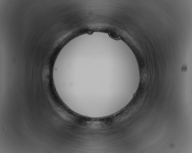 X0000101100448200807171916