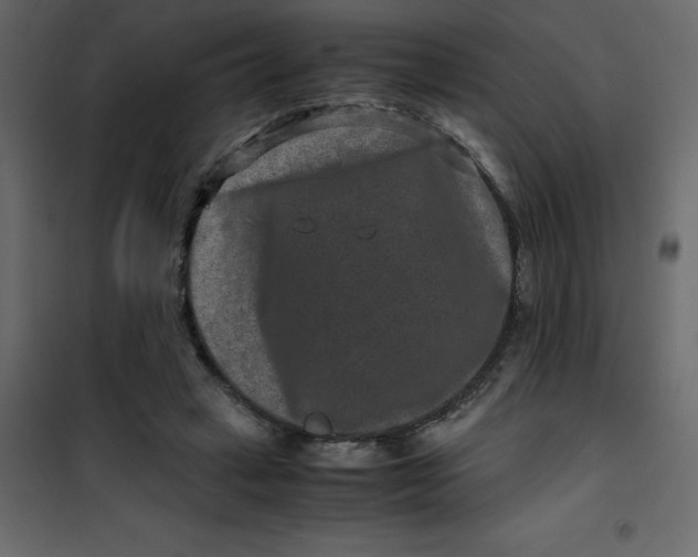 X0000101100449200807171916