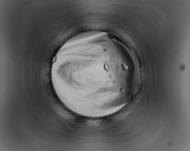 X0000101100450200807171916