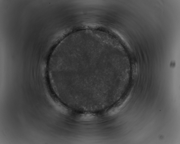 X0000101100451200807171916