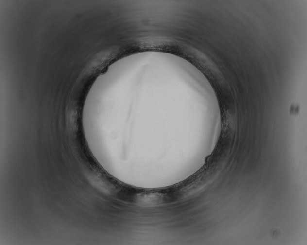 X0000101100452200807171916