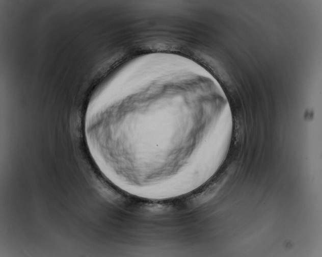 X0000101100453200807171916