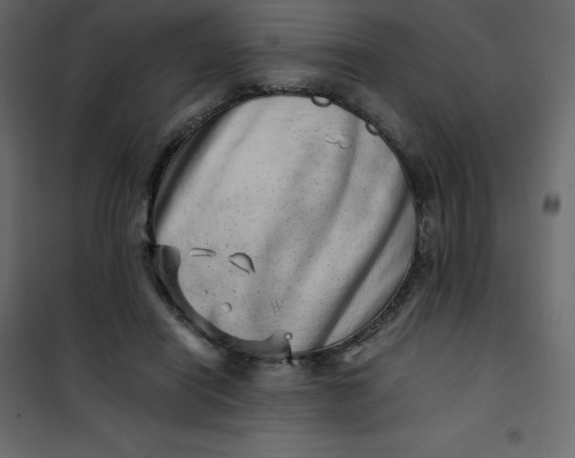 X0000101100454200807171916