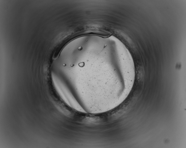 X0000101100455200807171916