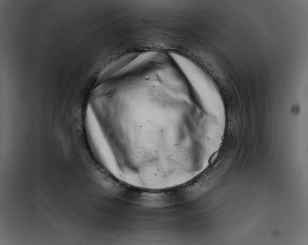 X0000101100457200807171916