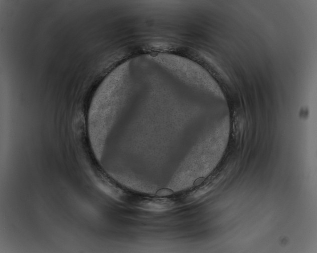 X0000101100459200807171916