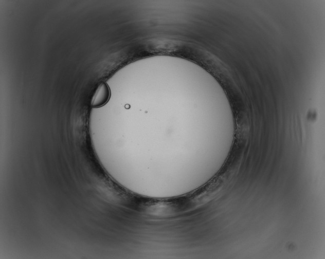 X0000101100460200807171916