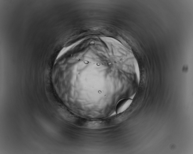 X0000101100461200807171916