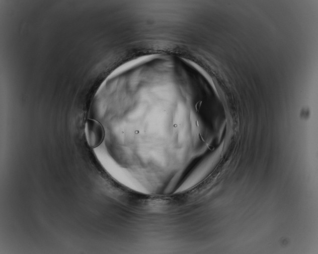 X0000101100462200807171916