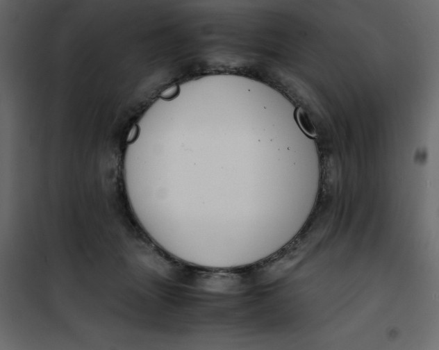 X0000101100463200807171916