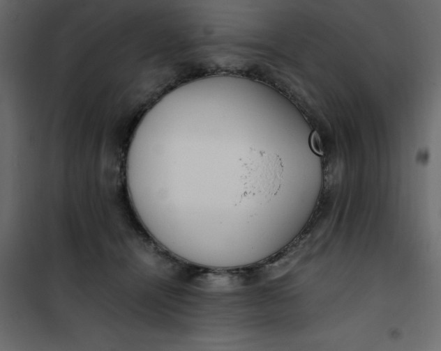 X0000101100464200807171916