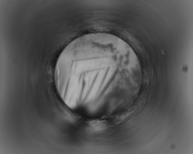 X0000101100465200807171916