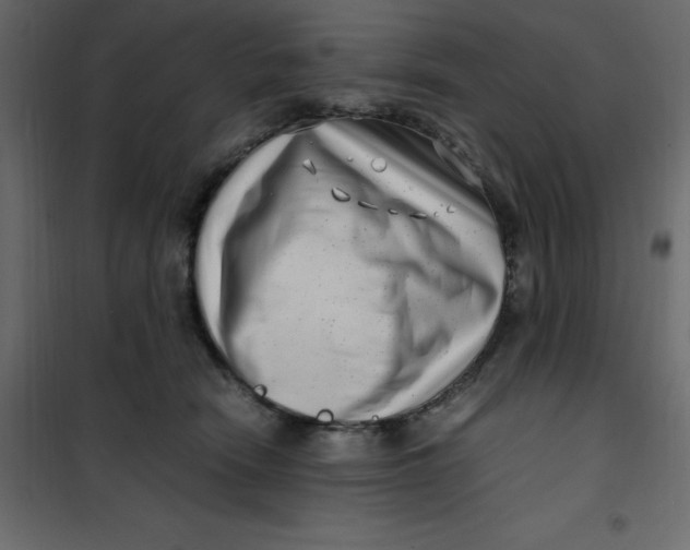 X0000101100466200807171916