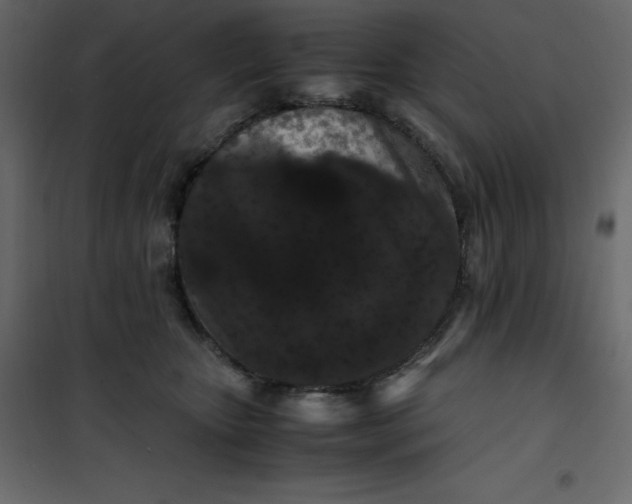 X0000101100467200807171916