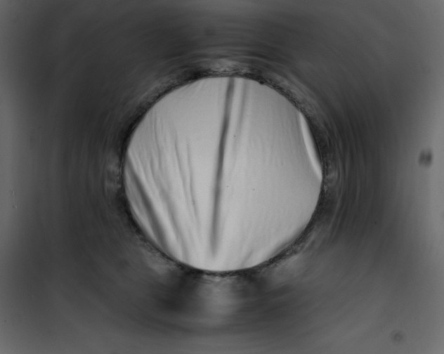 X0000101100469200807171916