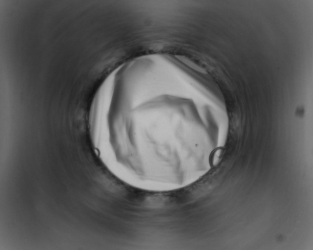 X0000101100470200807171916