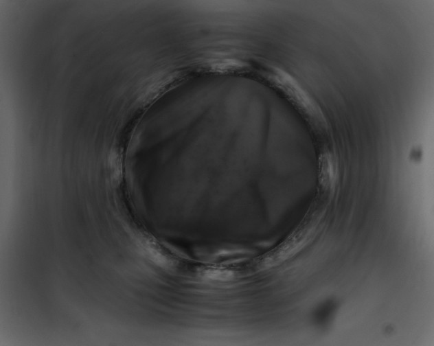 X0000101100471200807171916