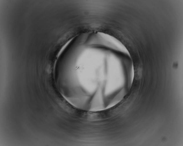 X0000101100472200807171916