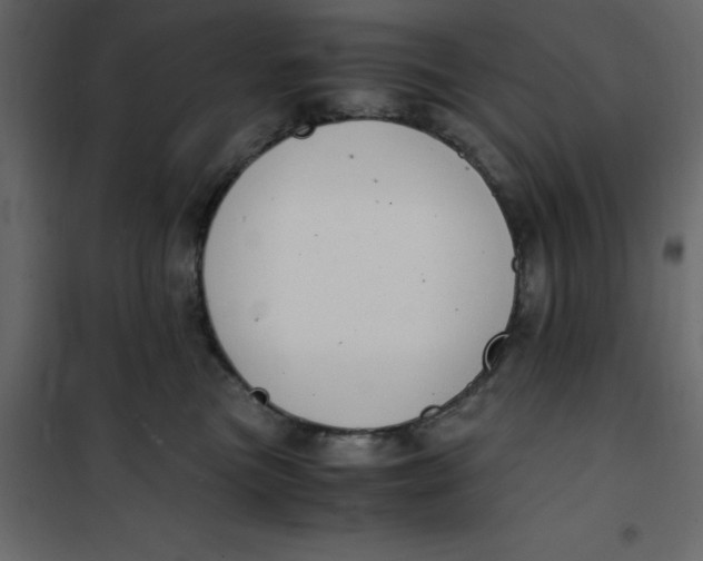 X0000101100473200807171916