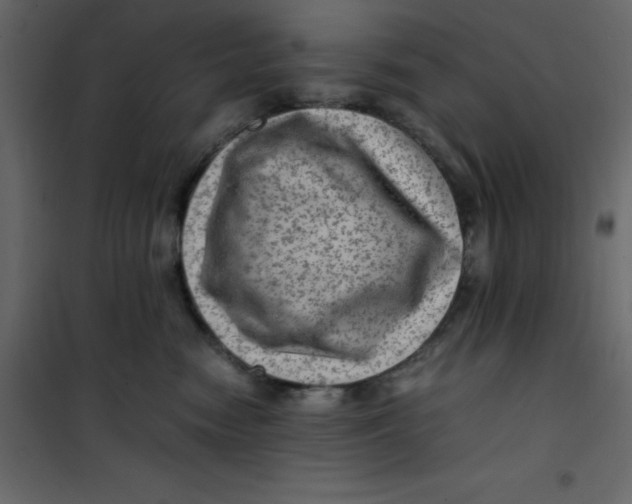 X0000101100474200807171916