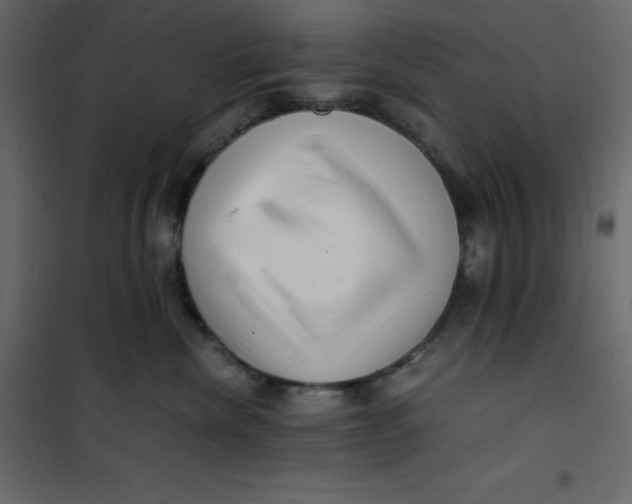 X0000101100476200807171916