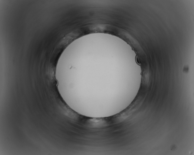 X0000101100477200807171916