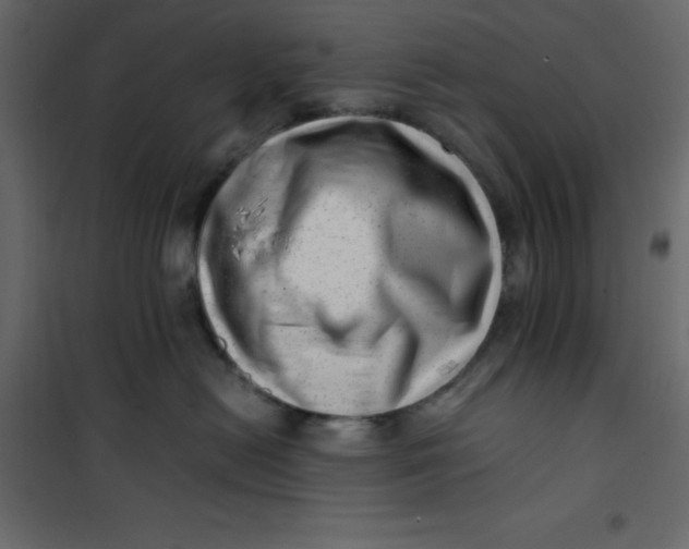 X0000101100478200807171916