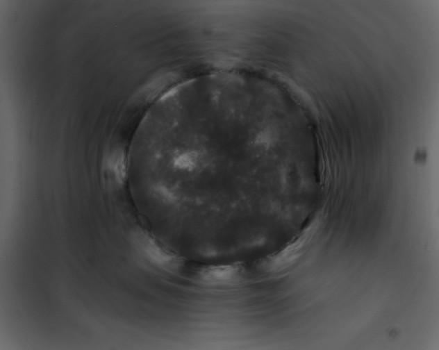 X0000101100479200807171916