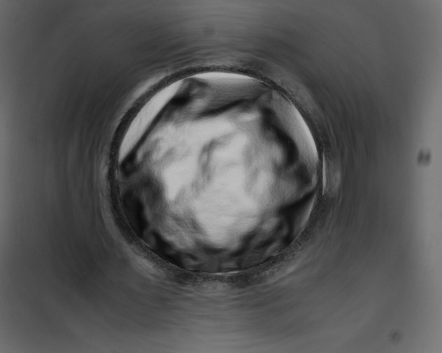 X0000101100483200807171916