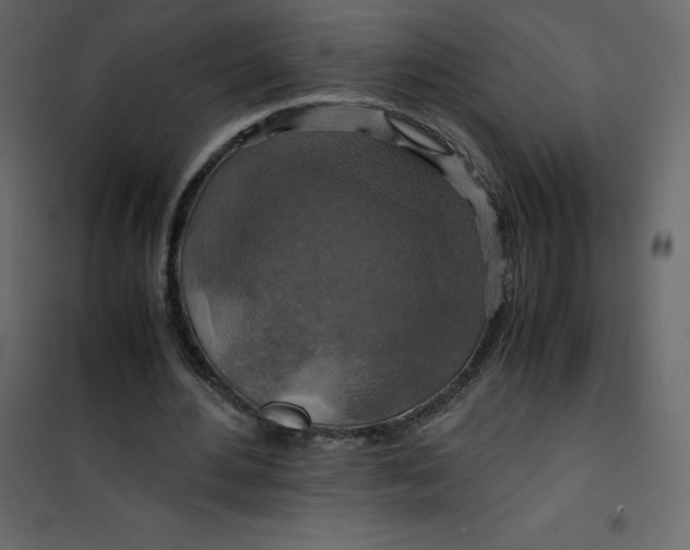 X0000101100484200807171915