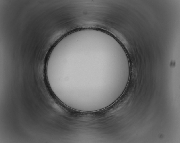 X0000101100485200807171915