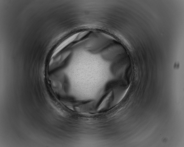 X0000101100486200807171915