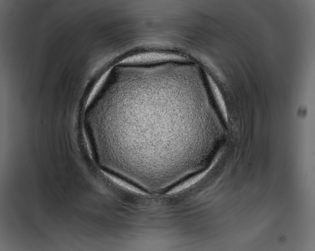 X0000101100487200807171915