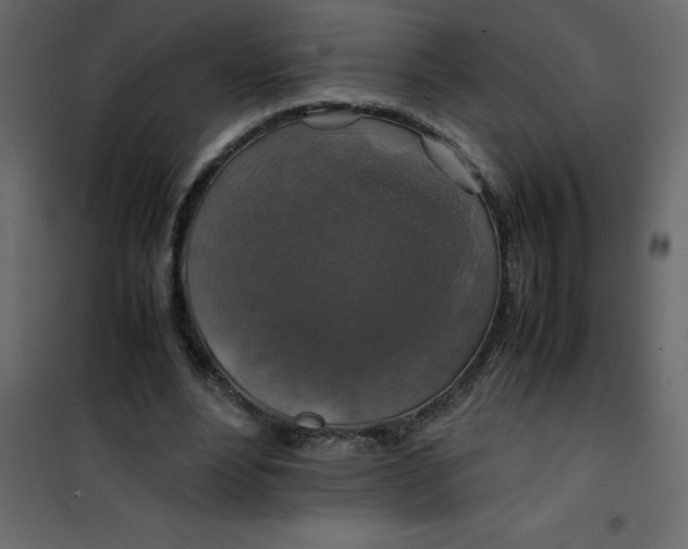 X0000101100488200807171915