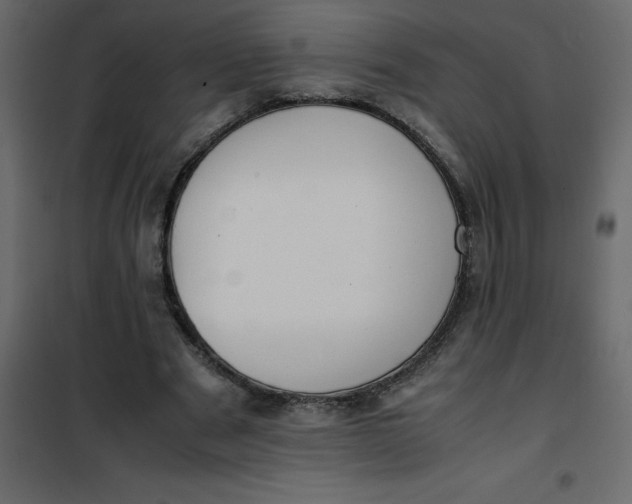 X0000101100489200807171915