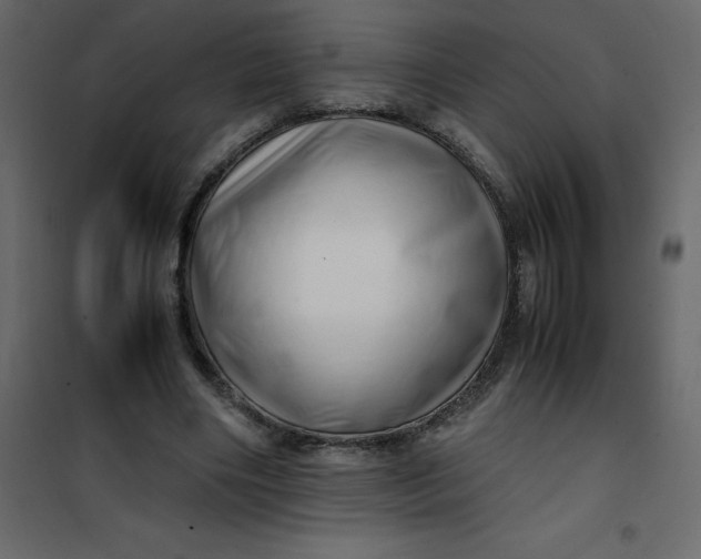 X0000101100490200807171915