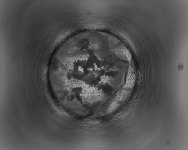 X0000101100491200807171915