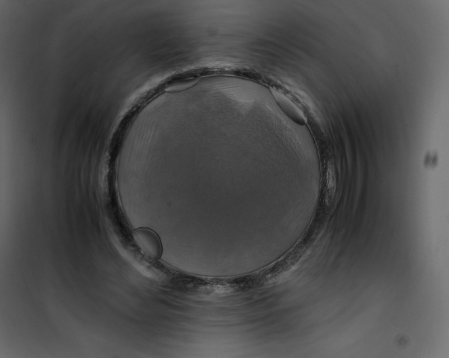 X0000101100492200807171915