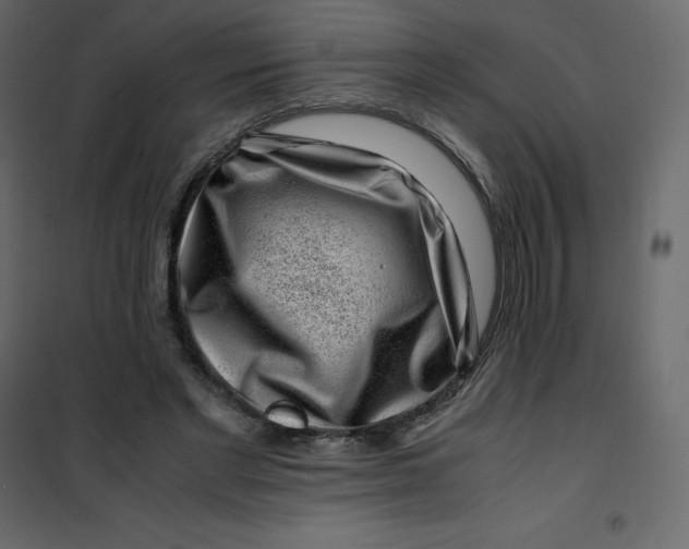 X0000101100493200807171915