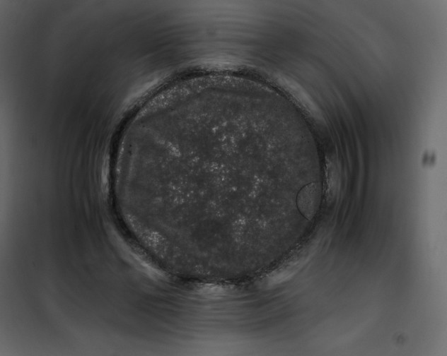 X0000101100494200807171915