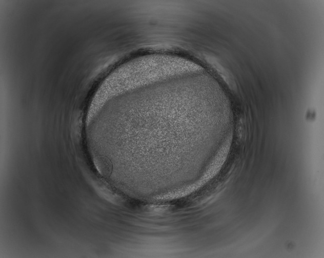 X0000101100495200807171915