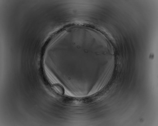 X0000101100496200807171915