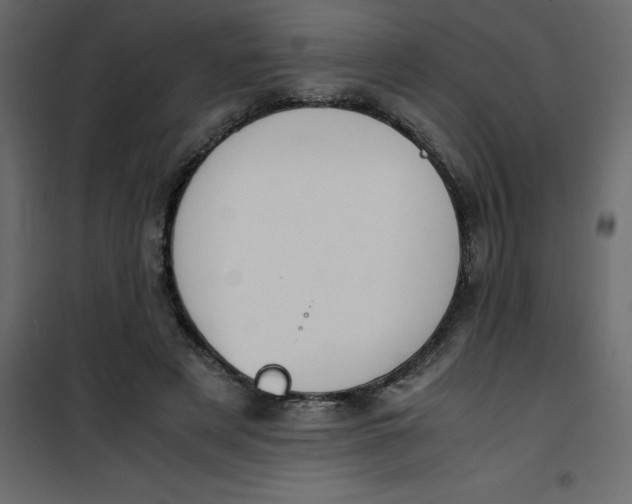 X0000101100497200807171915