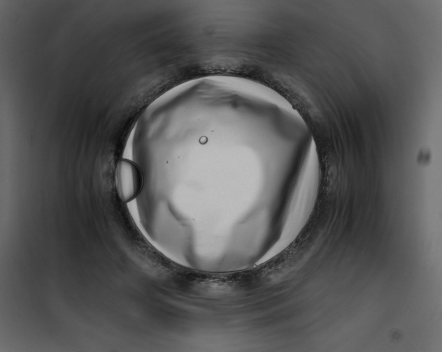 X0000101100498200807171915