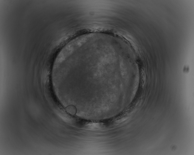 X0000101100499200807171915