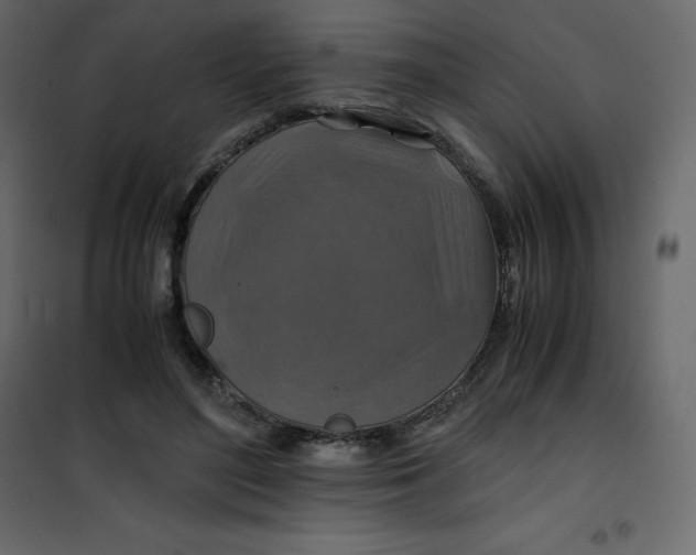 X0000101100500200807171915