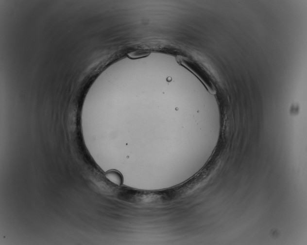 X0000101100501200807171915