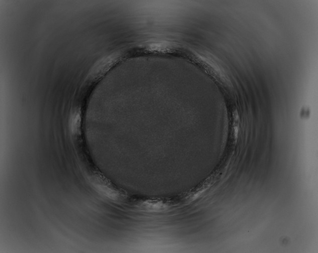 X0000101100502200807171915